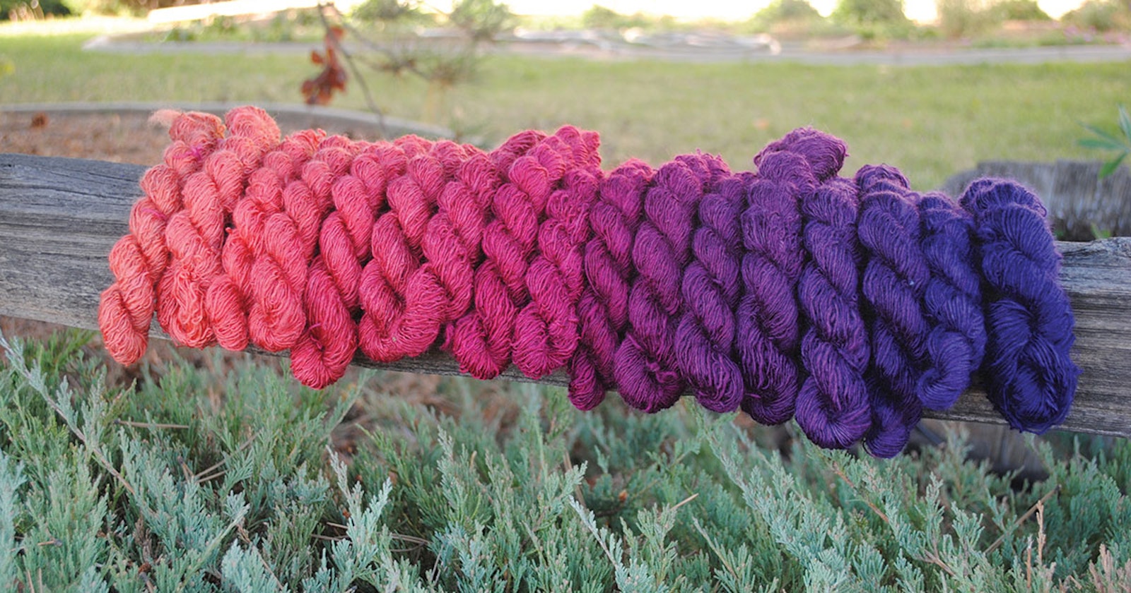 Spin Off Magazine 2017: Kate’s Picks Primary Image