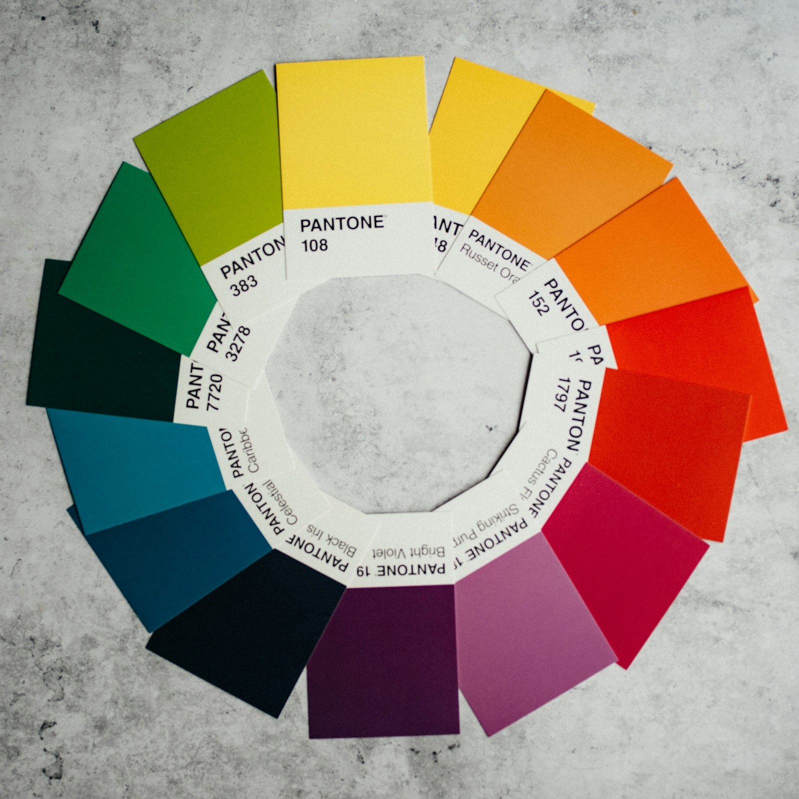 Color Wheel Clarity: Understanding the Basics of Color Primary Image