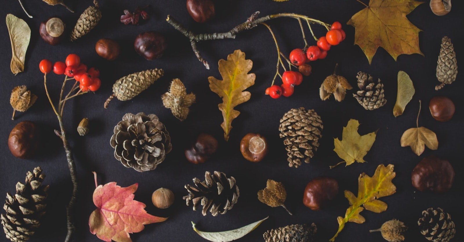 The Spinner’s Guide to Black Friday Primary Image