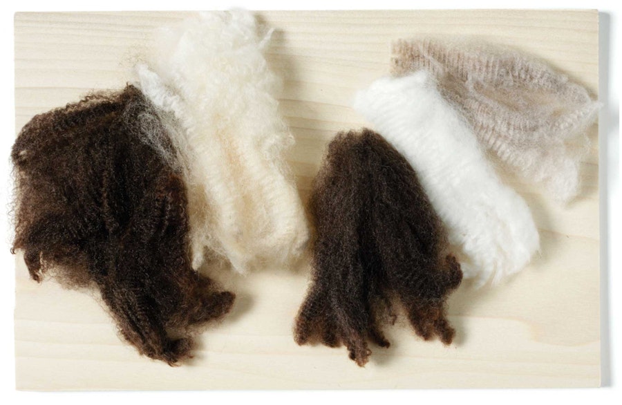 Choosing Fiber—Where to Start? Image