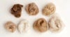 Fiber Basics: Bactrian Camel Image