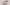 Spin Off Call for Submissions Winter 2022: Blends—Opposites Attract   Primary Image