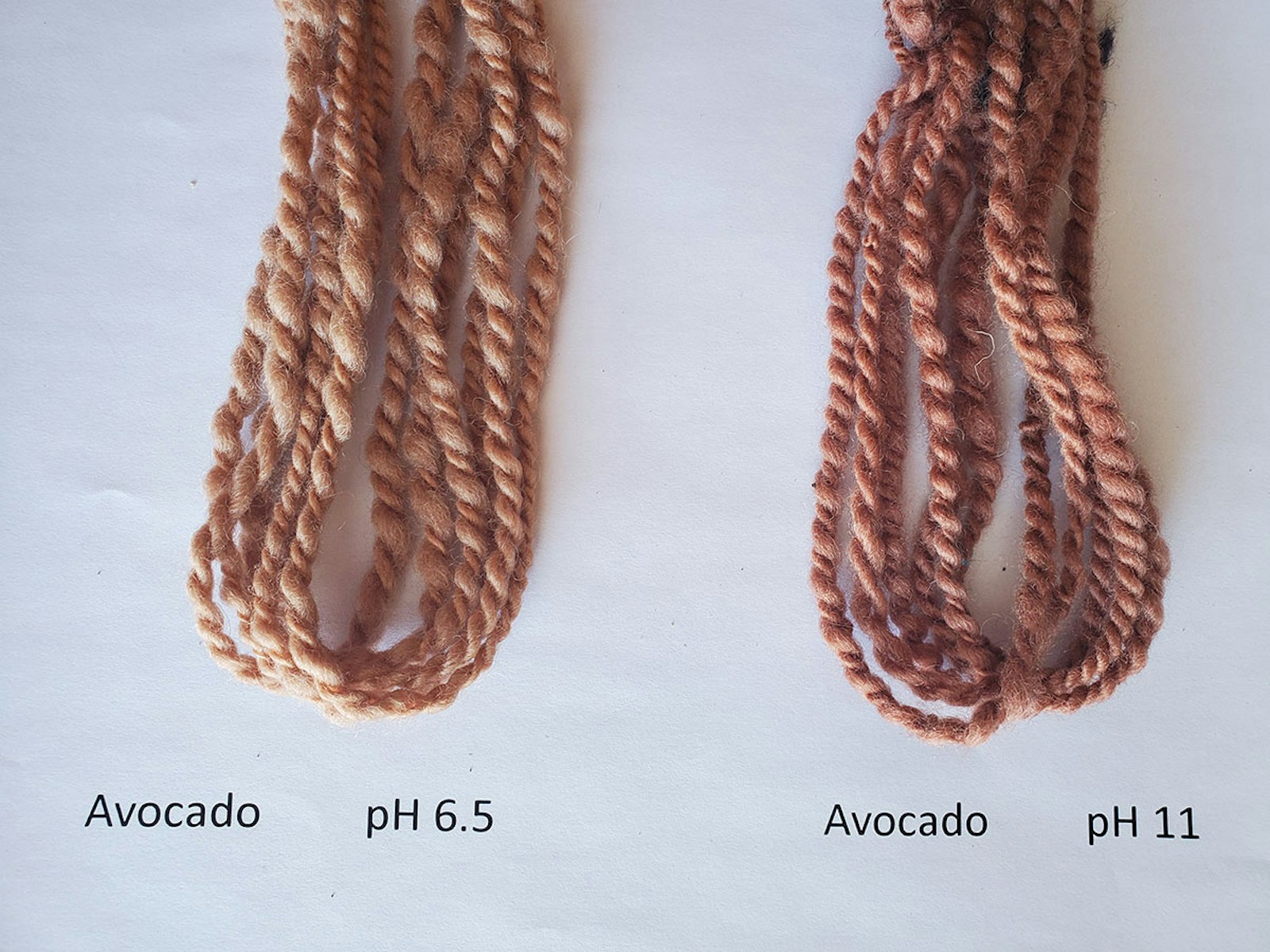 Exploring Natural Dyes: A Wealth of Color from Your Compost Primary Image