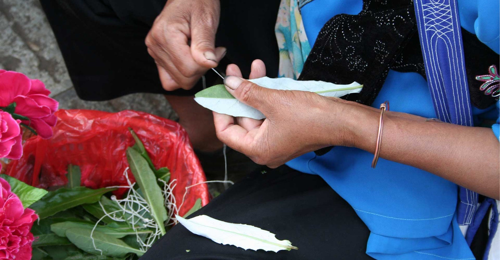 Spinning Daisies: Chinese Fireweed Primary Image