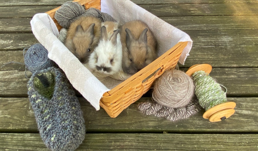 Knitting New Life into Vintage Patterns Image