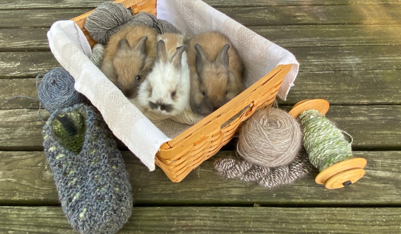 Knitting New Life into Vintage Patterns Primary Image