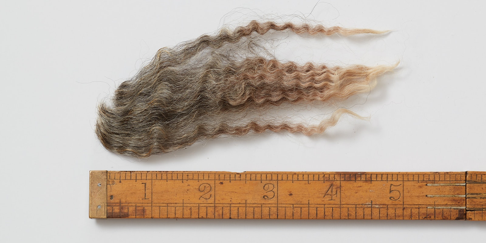 You’ve Got Wool Mail: Buying Sheep’s Fleece Online Primary Image