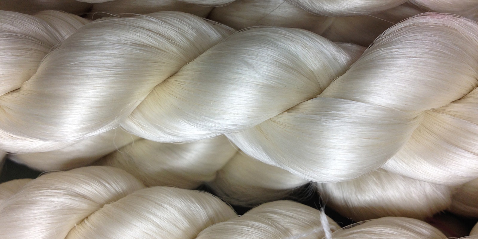 New Twists on Old Fibers: Spider Silk Primary Image