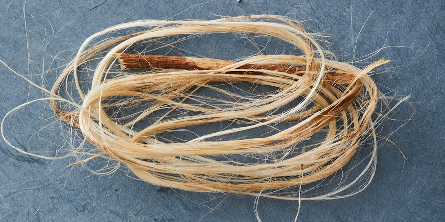 Local Bast: Adventures in Wild Retting Image