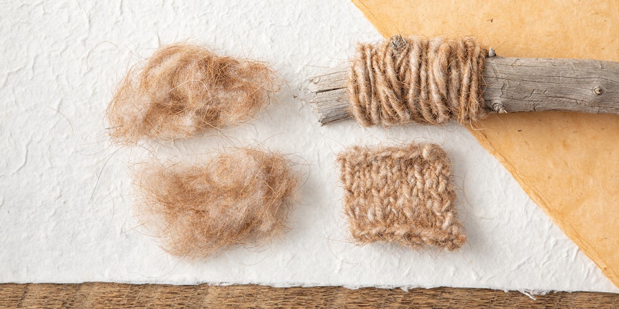 Spinning Fiber from Hair Sheep: Adding Texture with Rare Breeds Image