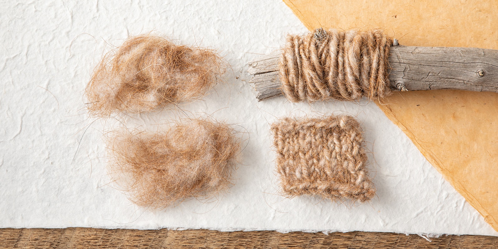 Spinning Fiber from Hair Sheep: Adding Texture with Rare Breeds Primary Image