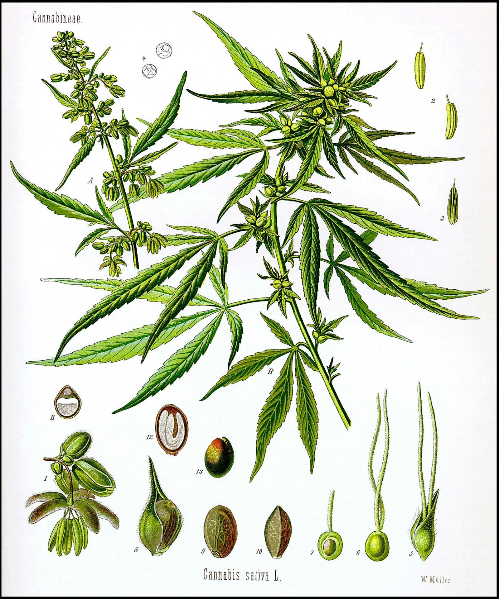 Spinning and Weaving with Hemp Primary Image