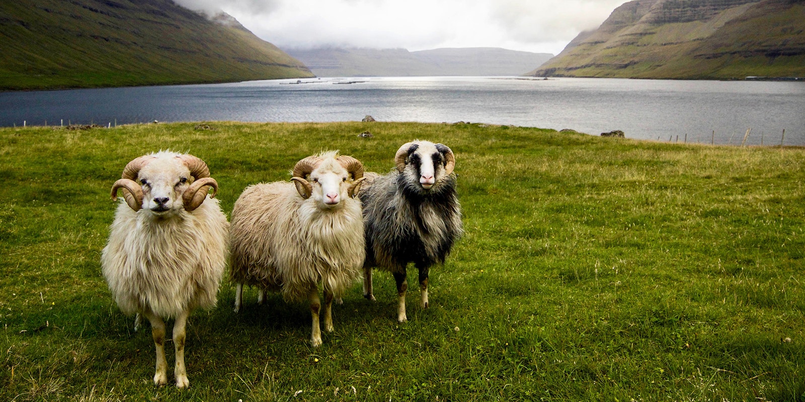 Spin Off Submissions Winter 2024: Deep Roots, Natural Fibers Primary Image