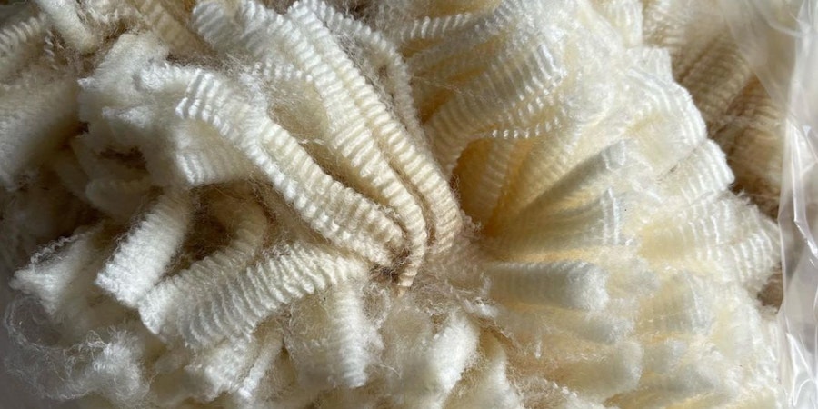 Meet the Corriedale: Geof Ruppert on Classic Style Image