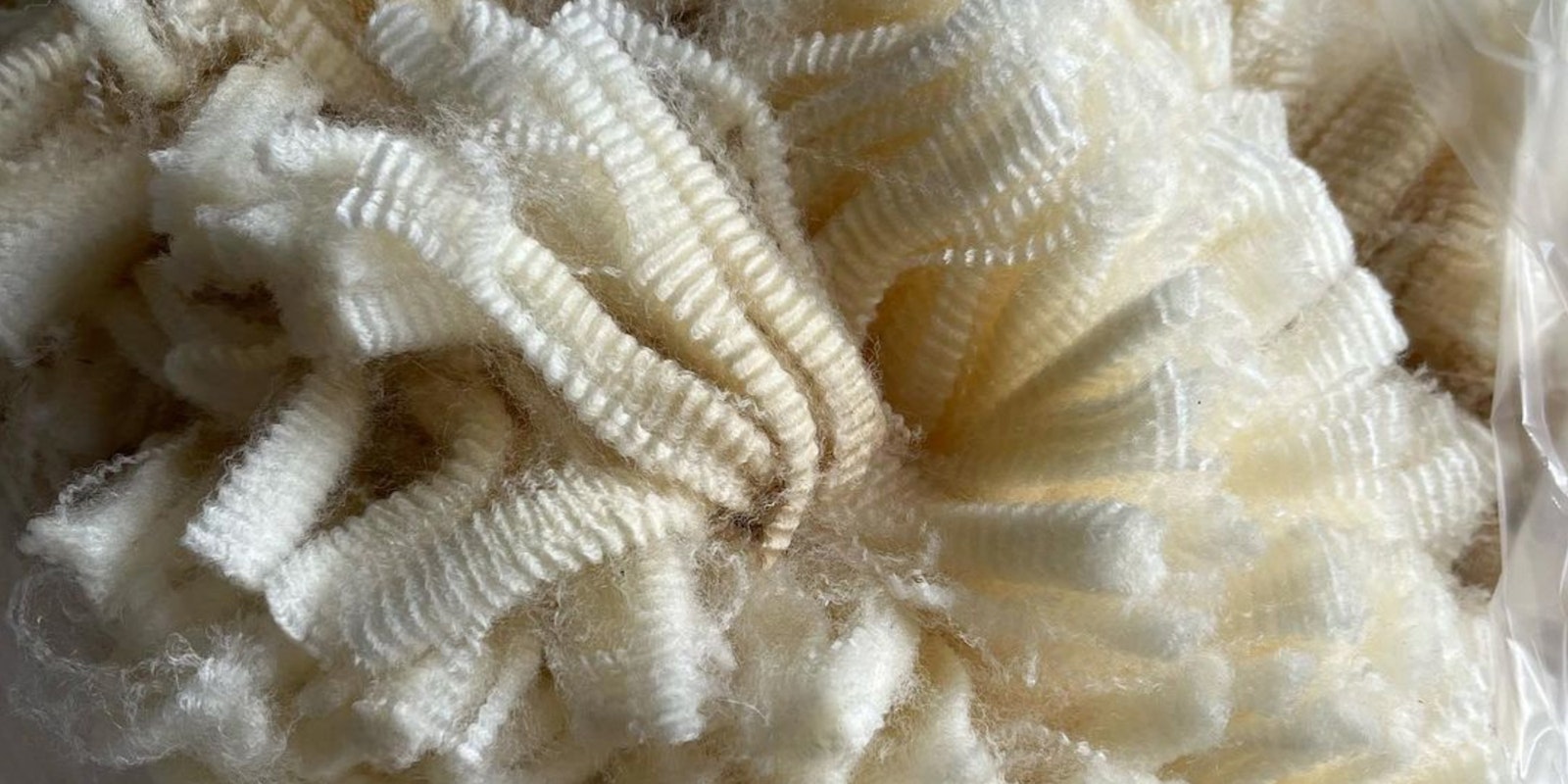 Meet the Corriedale: Geof Ruppert on Classic Style Primary Image