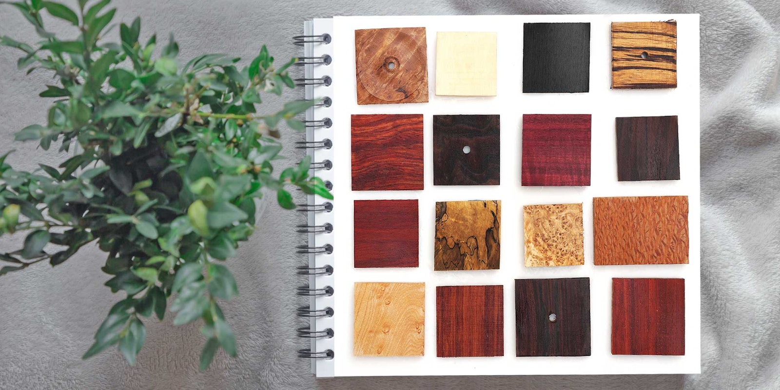 Spindles Grow on Trees Primary Image