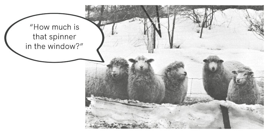 The Shop Window Spinner Image