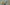 Spin Off Submissions Winter 2026: Flora and Fauna Primary Image