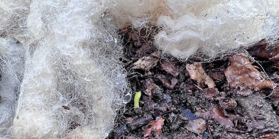7 Ways to Use “Waste” Wool in Your Garden Image