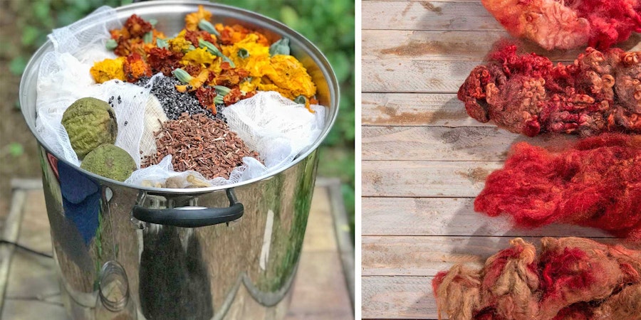 The Gift of Learning: Get the Easy Peasy Natural Dyeing eBook Image