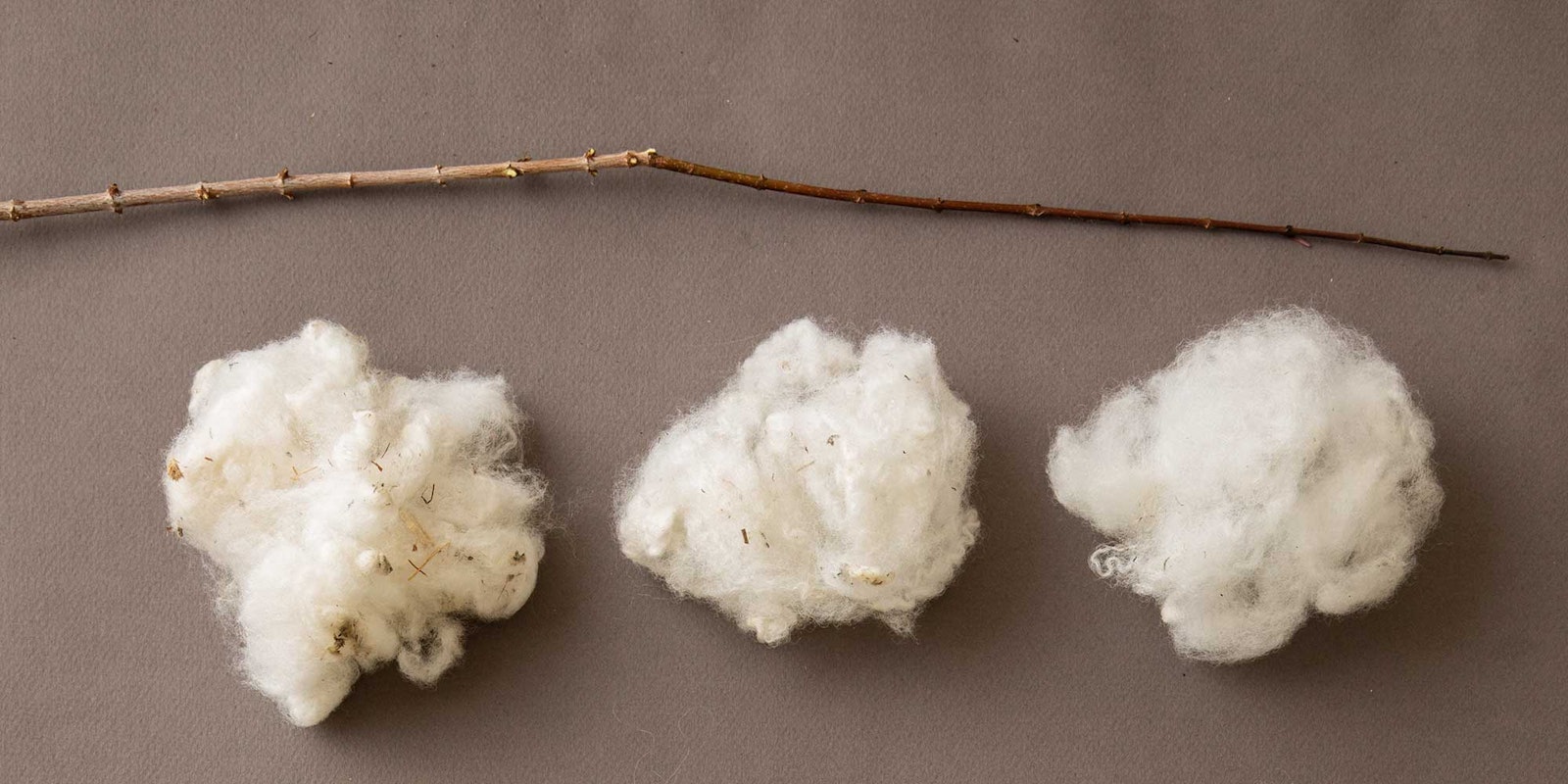 Willowing Wool: Building Community by Sharing the Work Primary Image