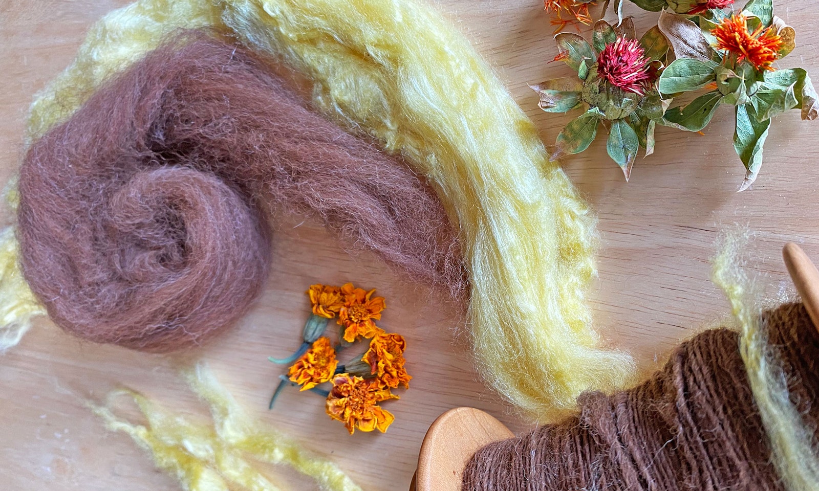 Let’s Twist Again! Primary Image