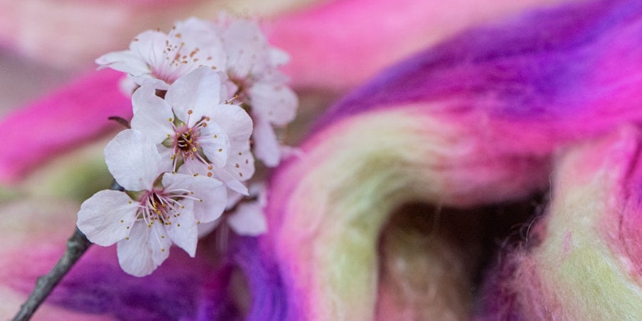 A Weekend at the Carolina Fiber Fest Image