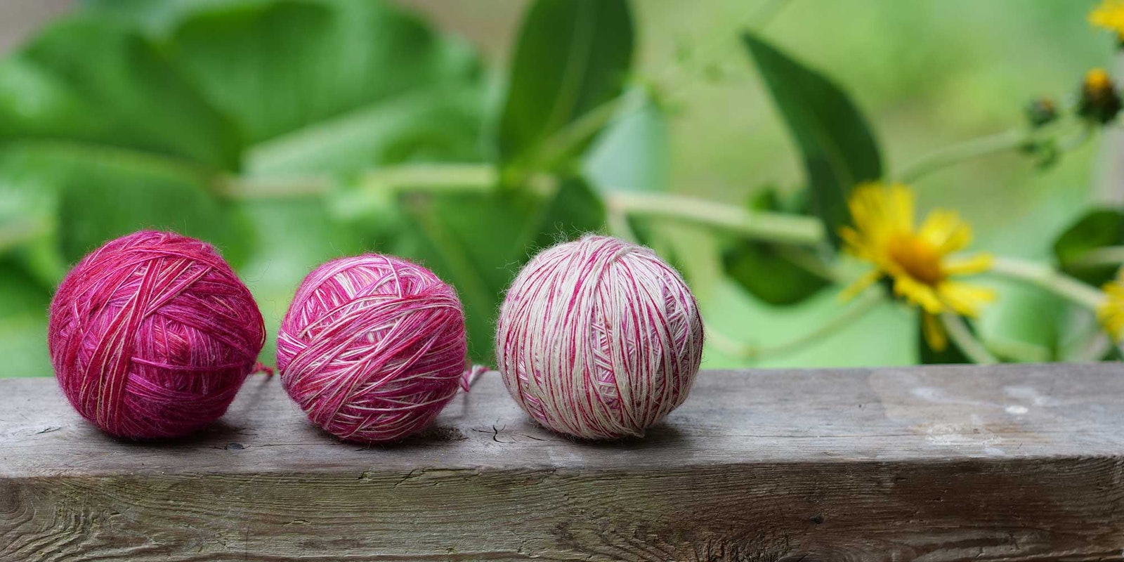 Spin Off Submissions Spring 2026: Intentional and Intuitive Color Primary Image