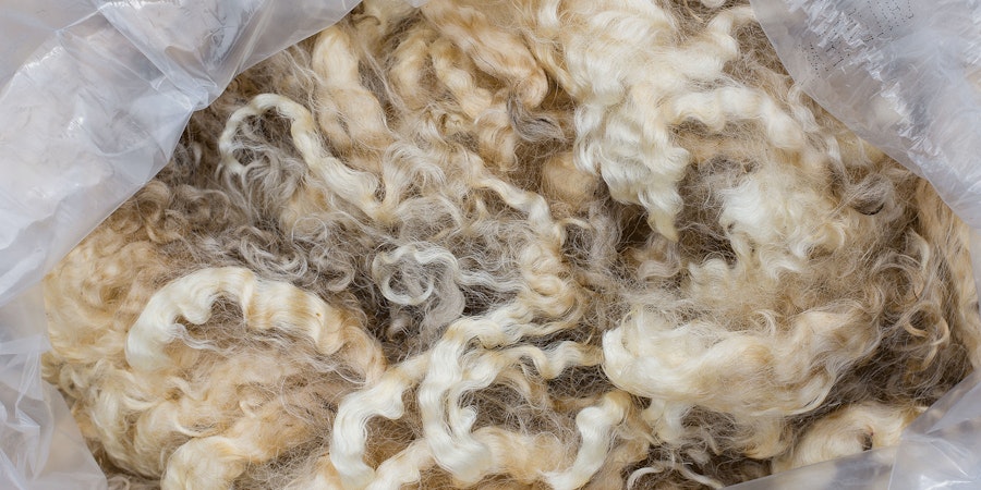 Should You Buy That Fleece at the Fiber Festival?  Image