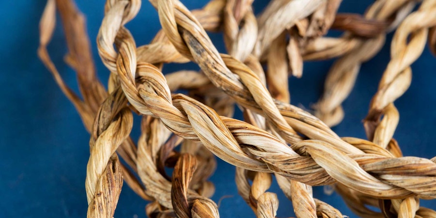 Something from Nothing: Making Cordage from the Garden Image