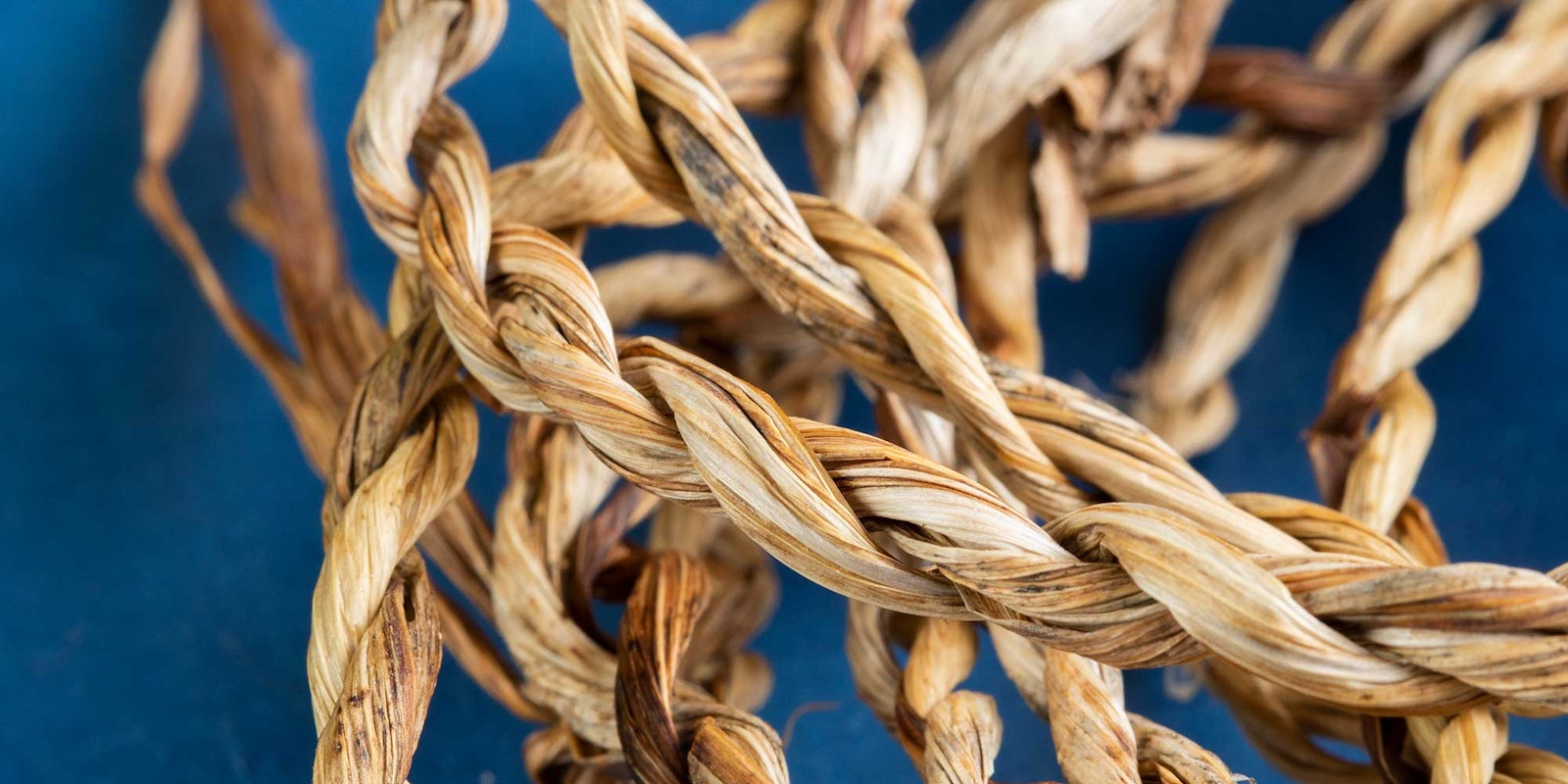 Something from Nothing: Making Cordage from the Garden Primary Image