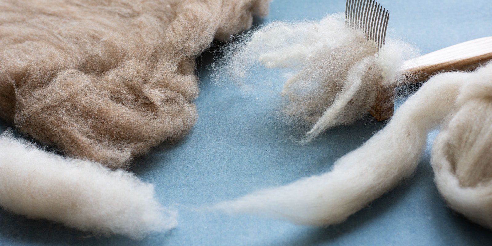 Four Preps, Four Projects Primary Image