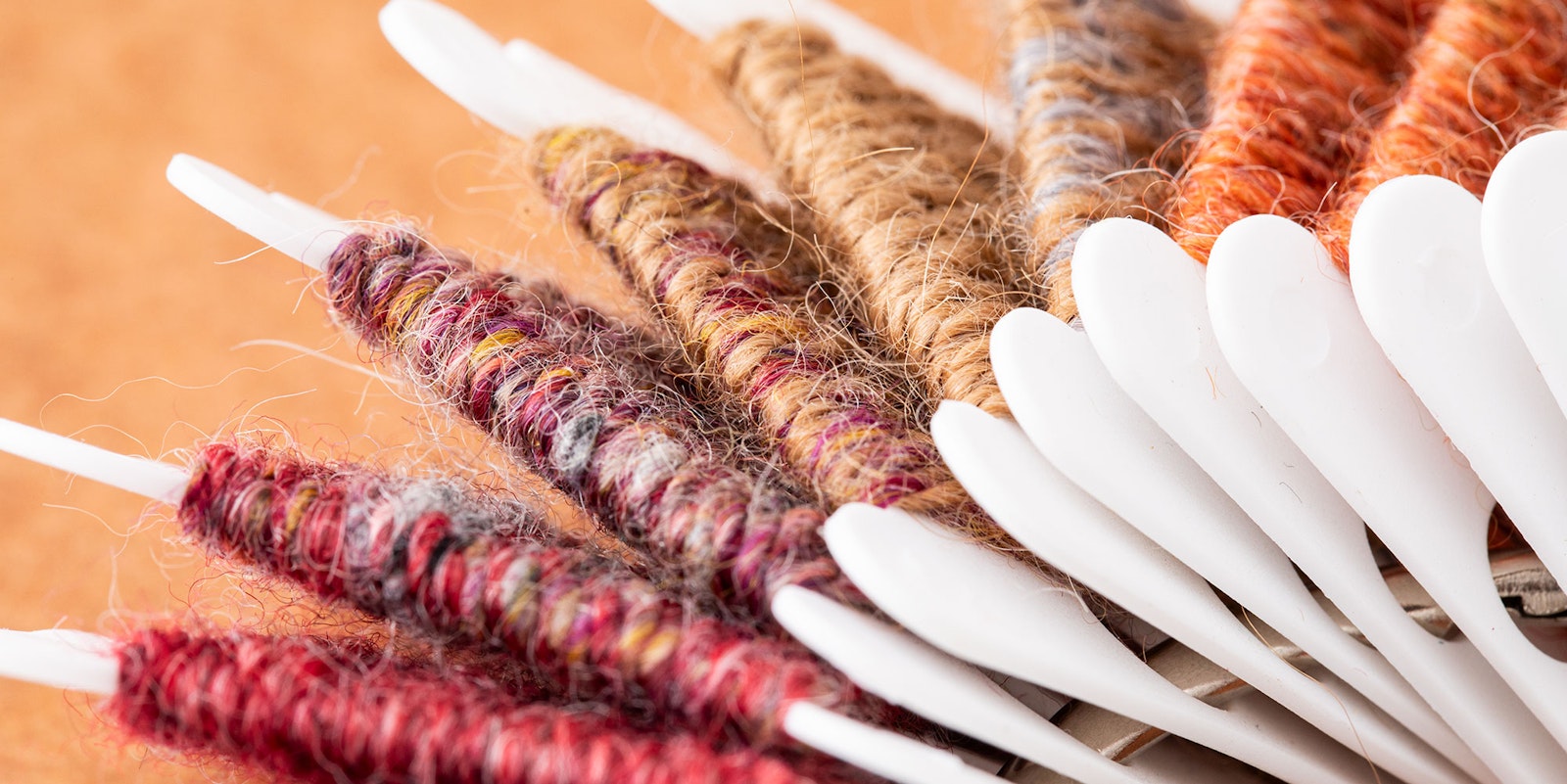 Spin Off Fall 2025 Web Extras & Helpful Resources Primary Image