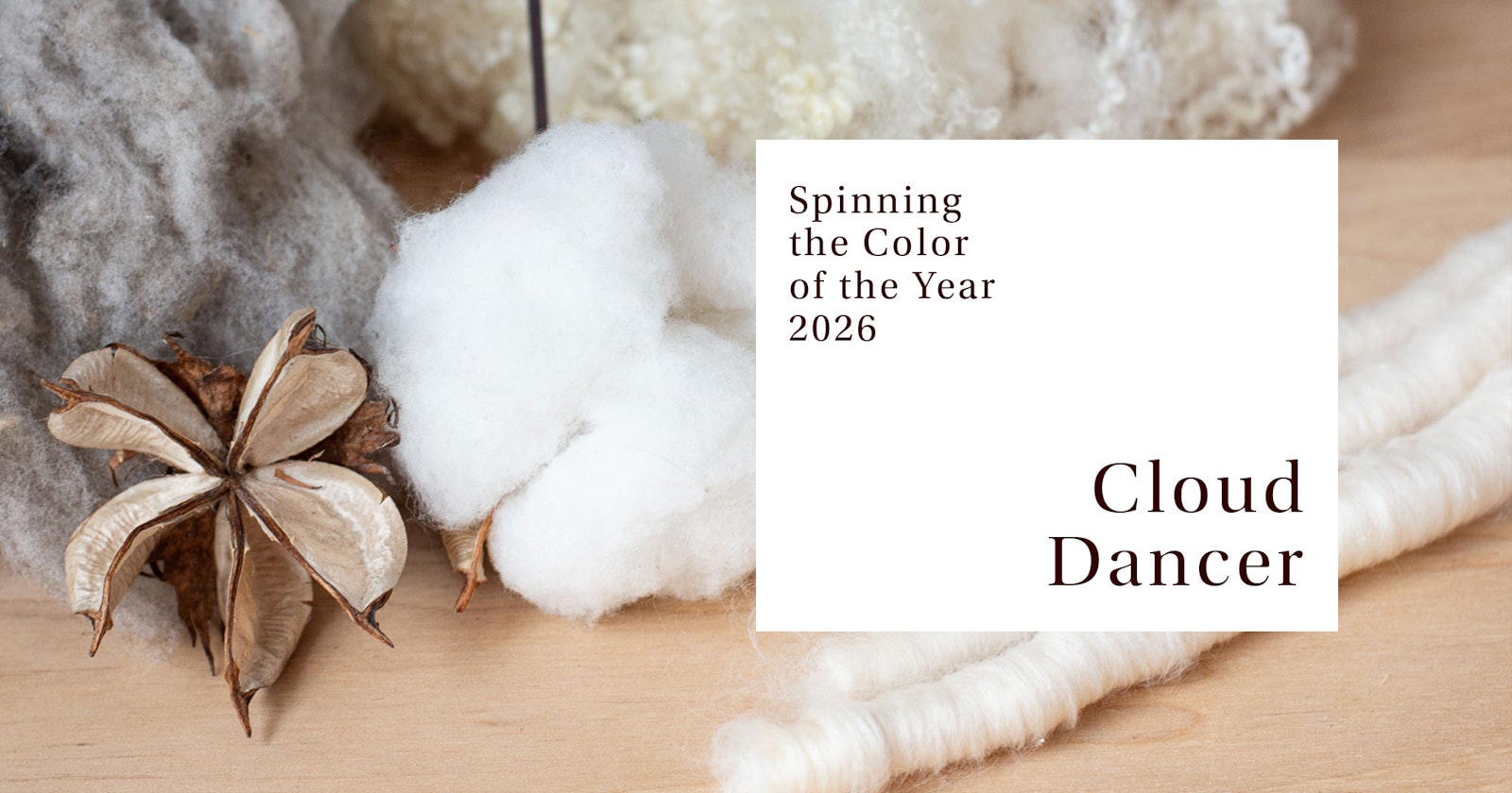 Spinning the 2026 Pantone Color of the Year: Cloud Dancer Primary Image
