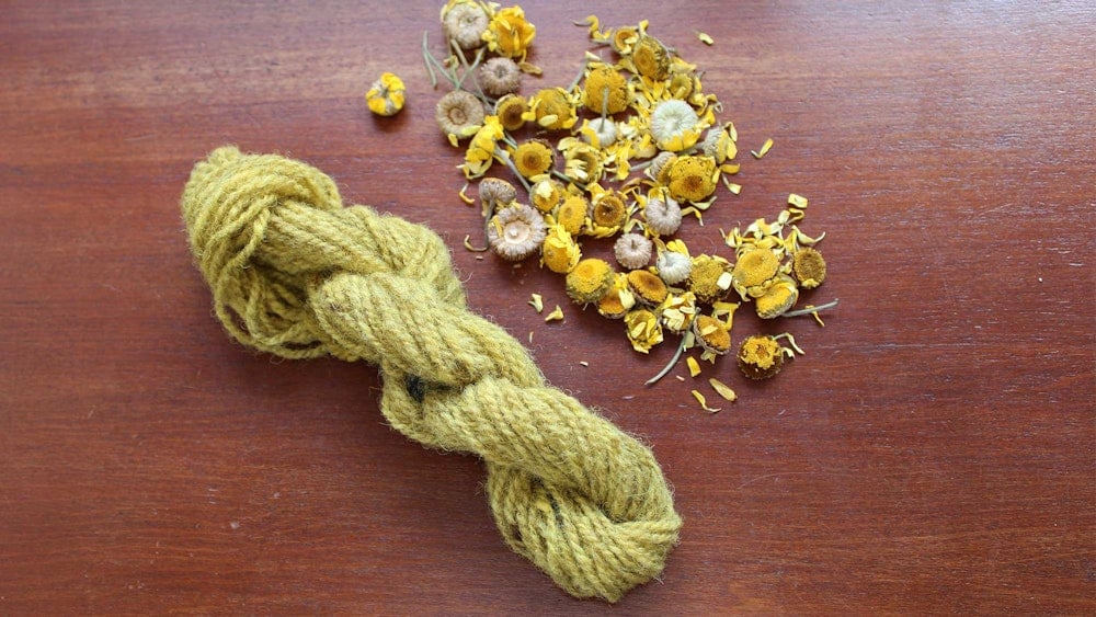 Contain Yourself: Growing Dye Plants Without a Garden Image