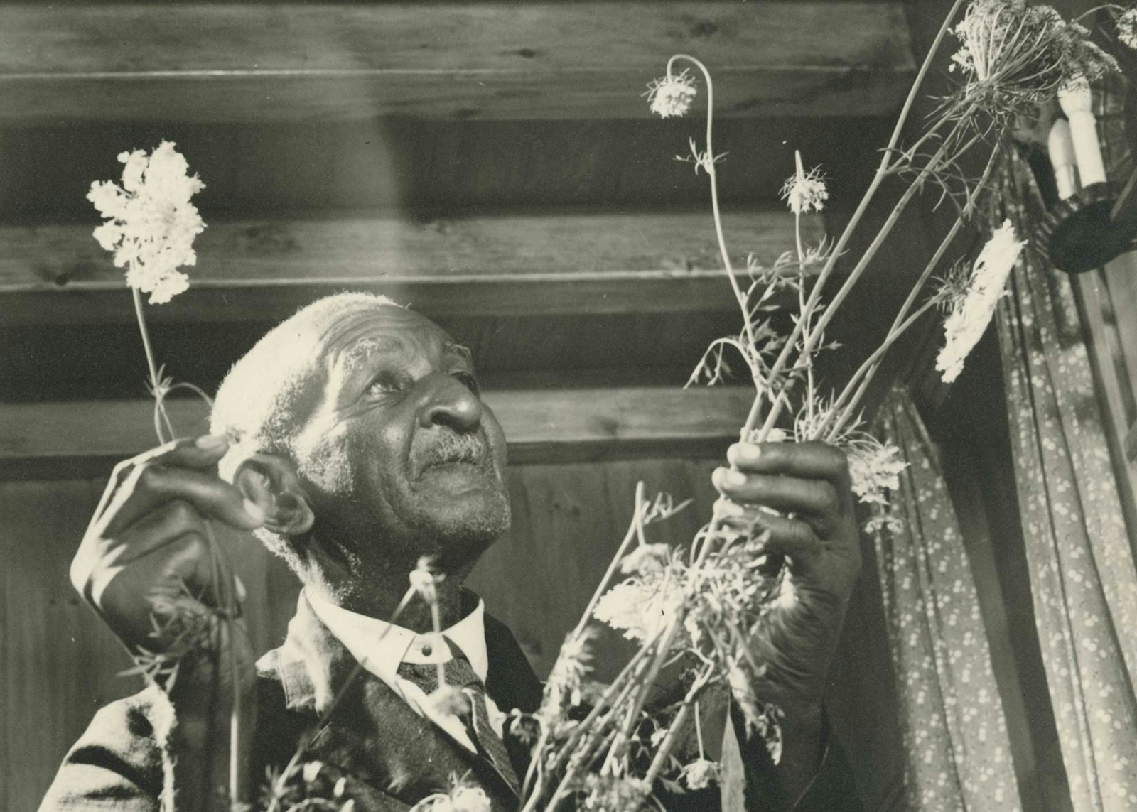 Nature’s Colors in the Hands of George Washington Carver Primary Image