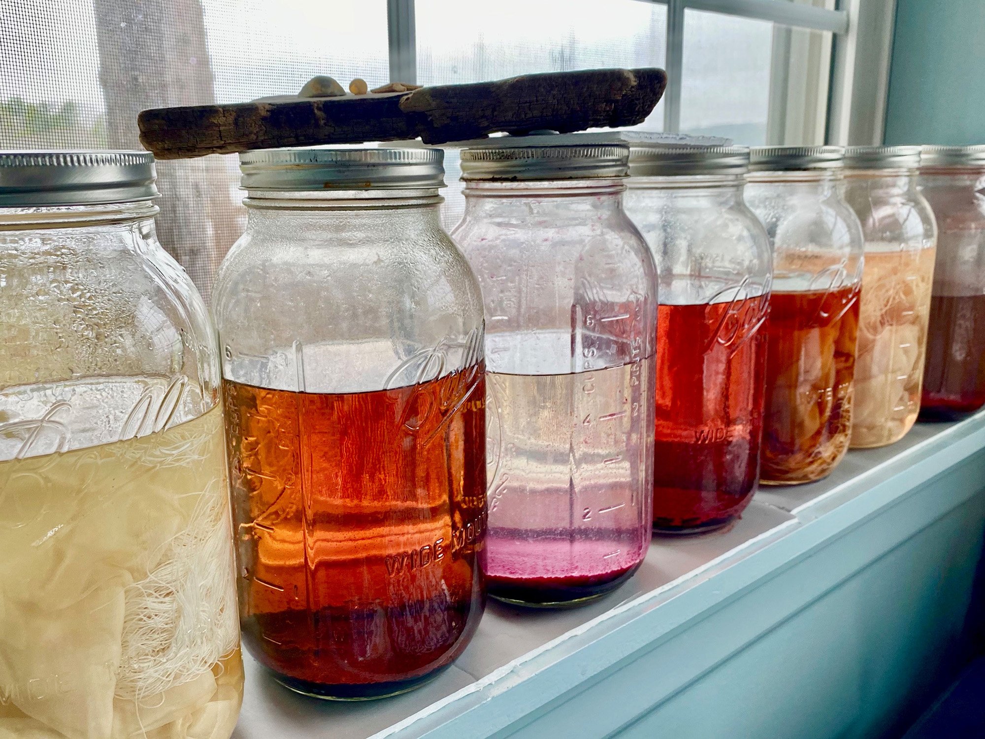 A Short Spin on Natural Dyeing Image