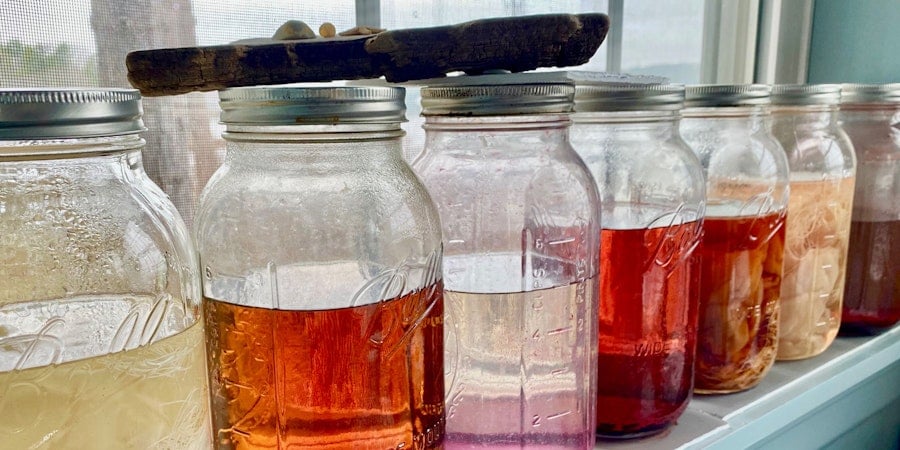 A Short Spin on Natural Dyeing Image