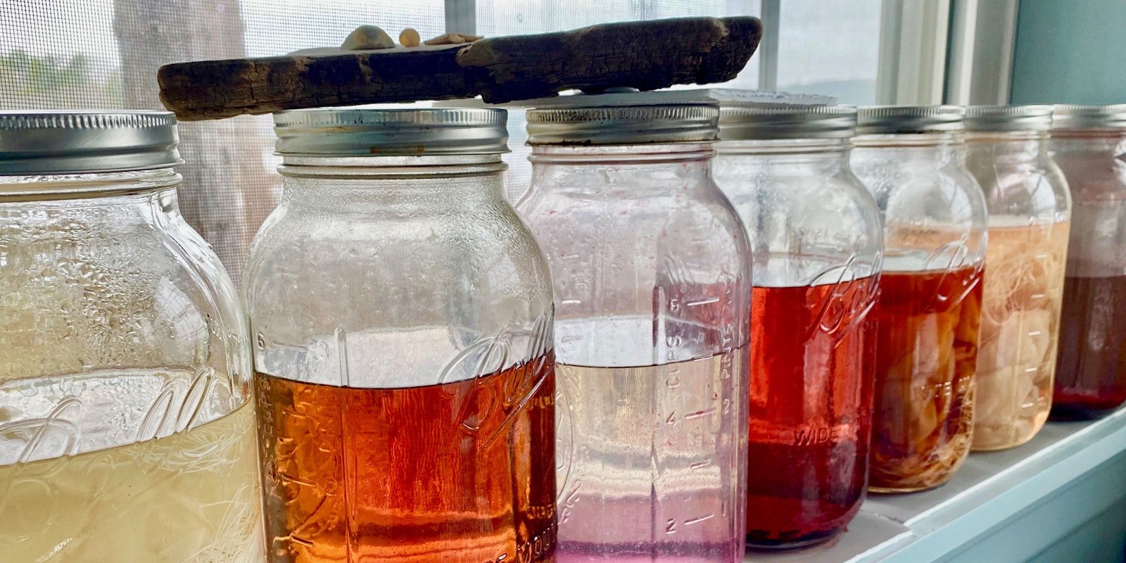 A Short Spin on Natural Dyeing Primary Image