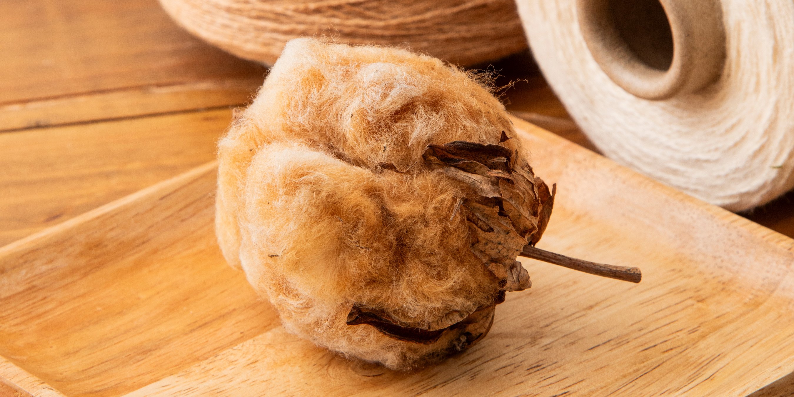 What Is Organic Cotton? Image
