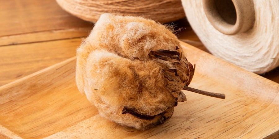 What Is Organic Cotton? Image
