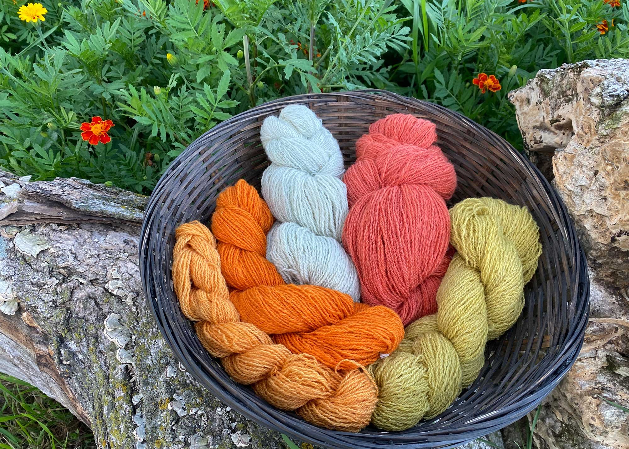 Tour de Fleece 2026: Getting Started Image