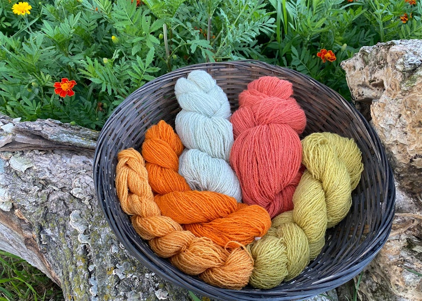 Tour de Fleece 2026: Getting Started Image
