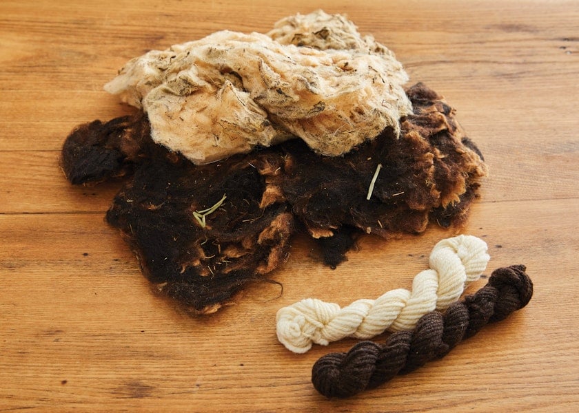 The Great Fleece Makeover Image
