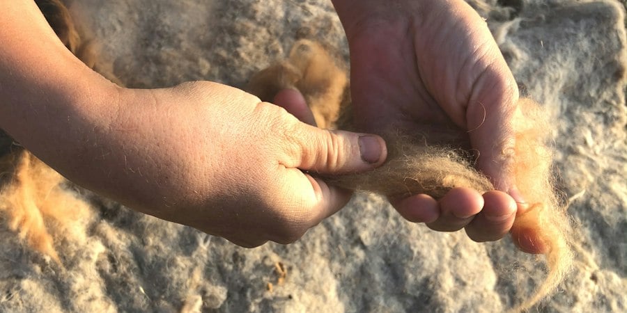 Spinning the Steppe: Camel Fiber and Firebox Spindles Image